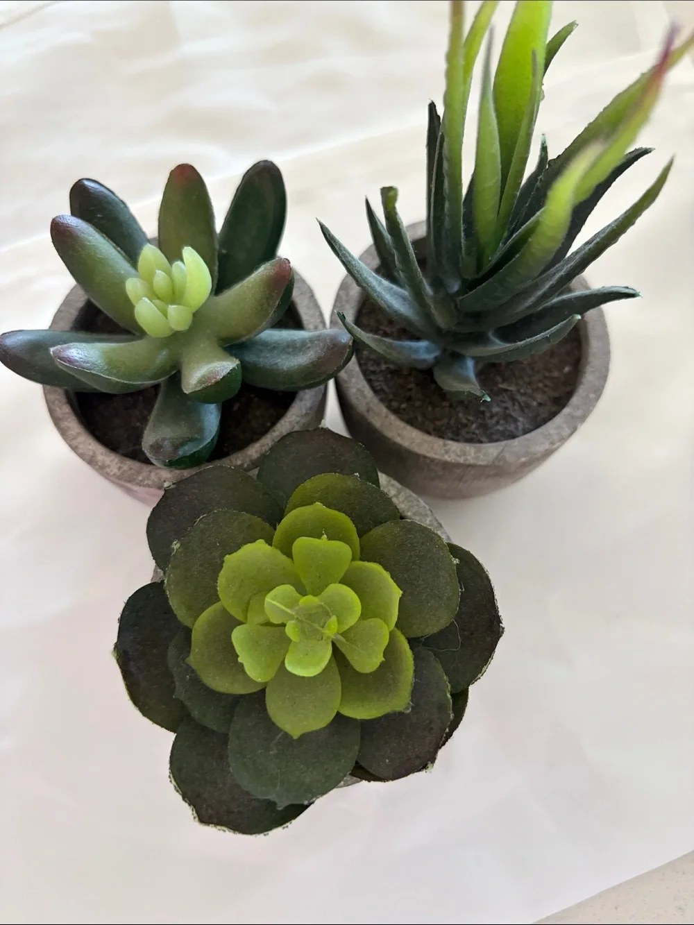 Artificial Green Succulent Trio in Gray Pots - Home Accents